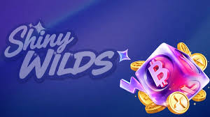 Recensione del casinò online ShinyWilds Gambling Enterprise 2026